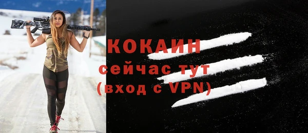 прущие грибы Корсаков