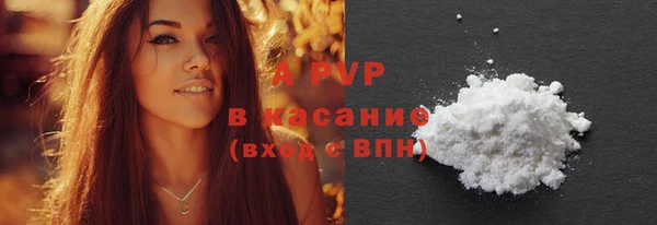 эйфоретик Вяземский