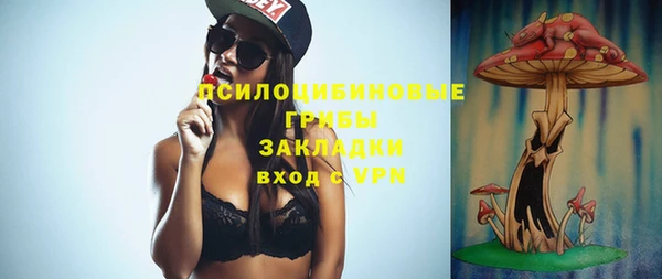 эйфоретик Вяземский
