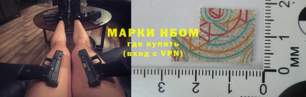 амф Козельск