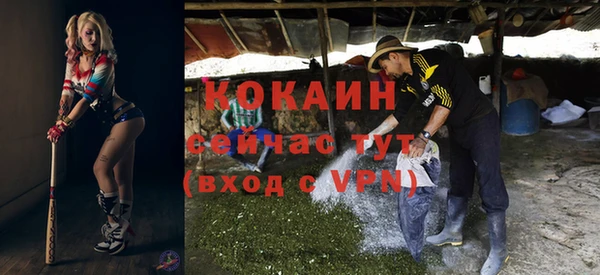 эйфоретик Вяземский