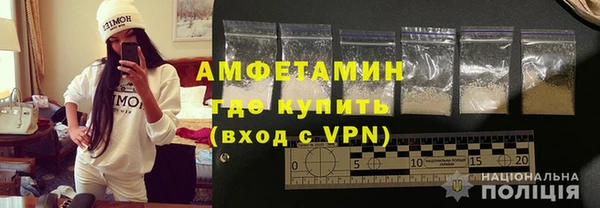 прущие грибы Коряжма