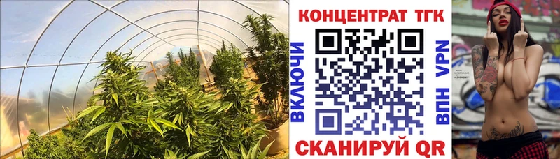 Дистиллят ТГК вейп с тгк  где продают   МЕГА зеркало  shop как зайти  Белокуриха 