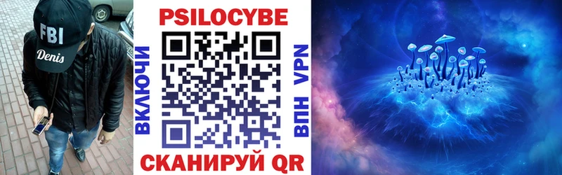 блэк спрут ONION купить сайты Белокуриха Псилоцибиновые грибы Psilocybe
